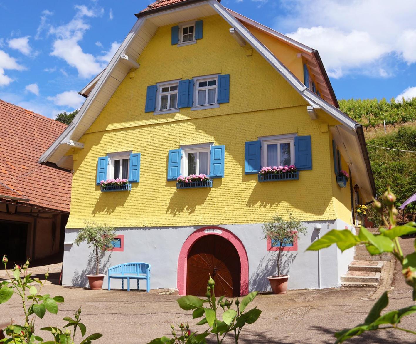 Winzerhof Maennle Apartment Оберкирх Екстериор снимка